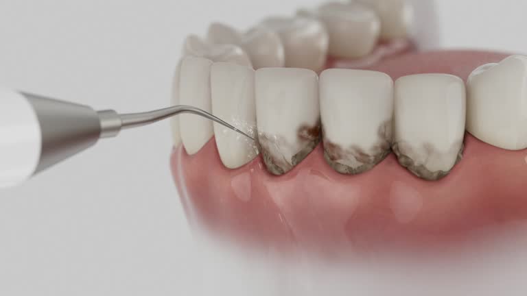 Reliable Dental contractor in Lee County County, TX by Dentist Open Now